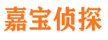 兰山市侦探公司